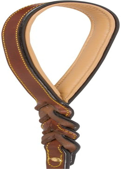 Leather Braided Dog Leash, Brown 6Ft × 3/4 Inch (183 cm × 1.9 cm), Full-Grain Lead