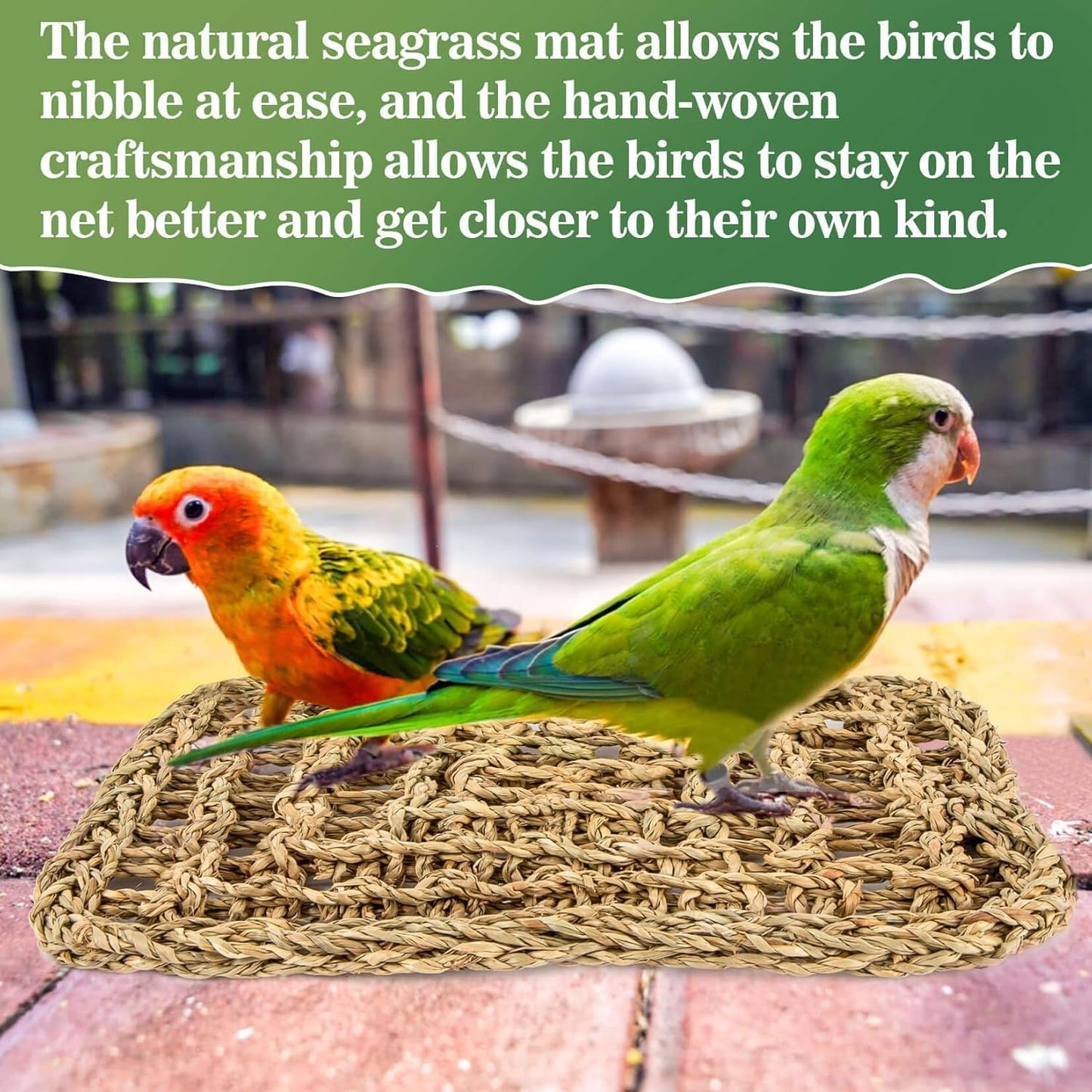 Seagrass Bird Mat for Parakeets & Cockatiels – Foraging Climbing Toy