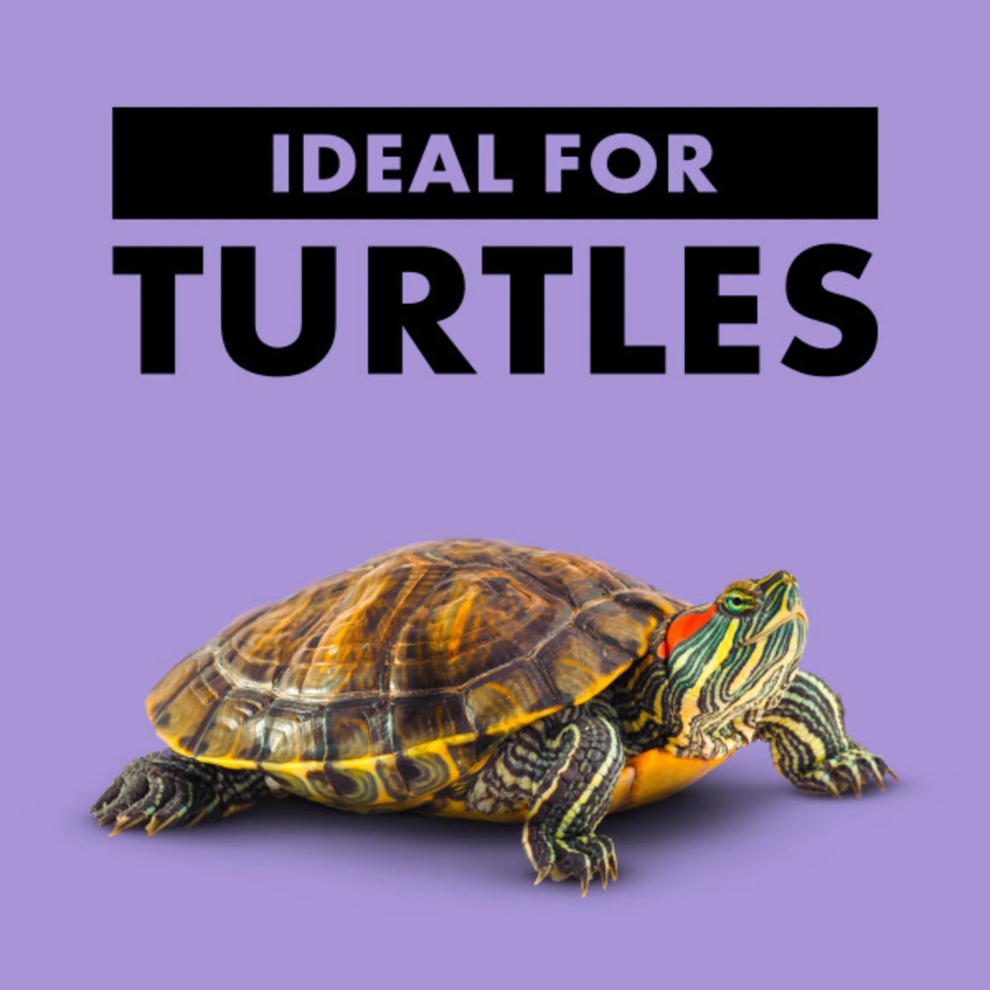 Reptile Basking Platform Corner Ramp – Small (Green)