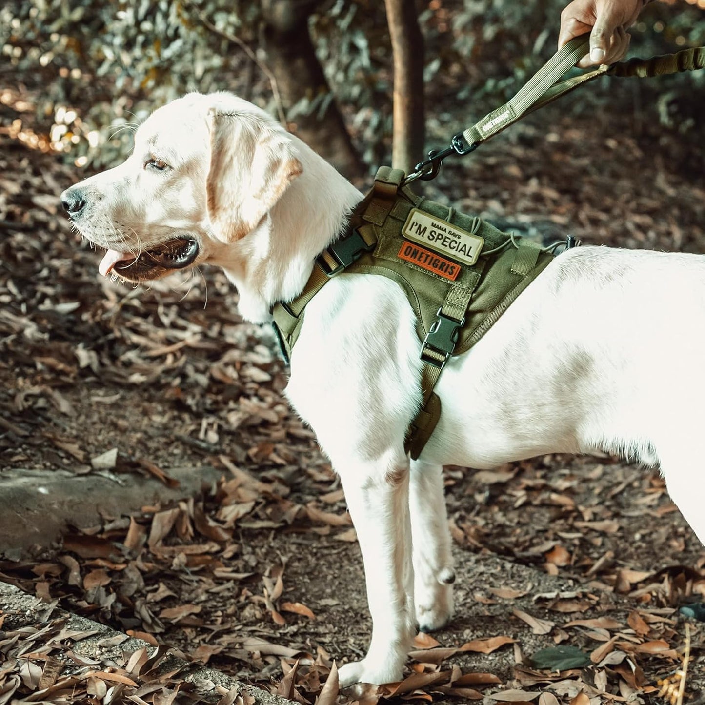 Tactical No-Pull Dog Harness – Breathable Adjustable Dog Vest with Handle for Walking (Ranger Green, Small)