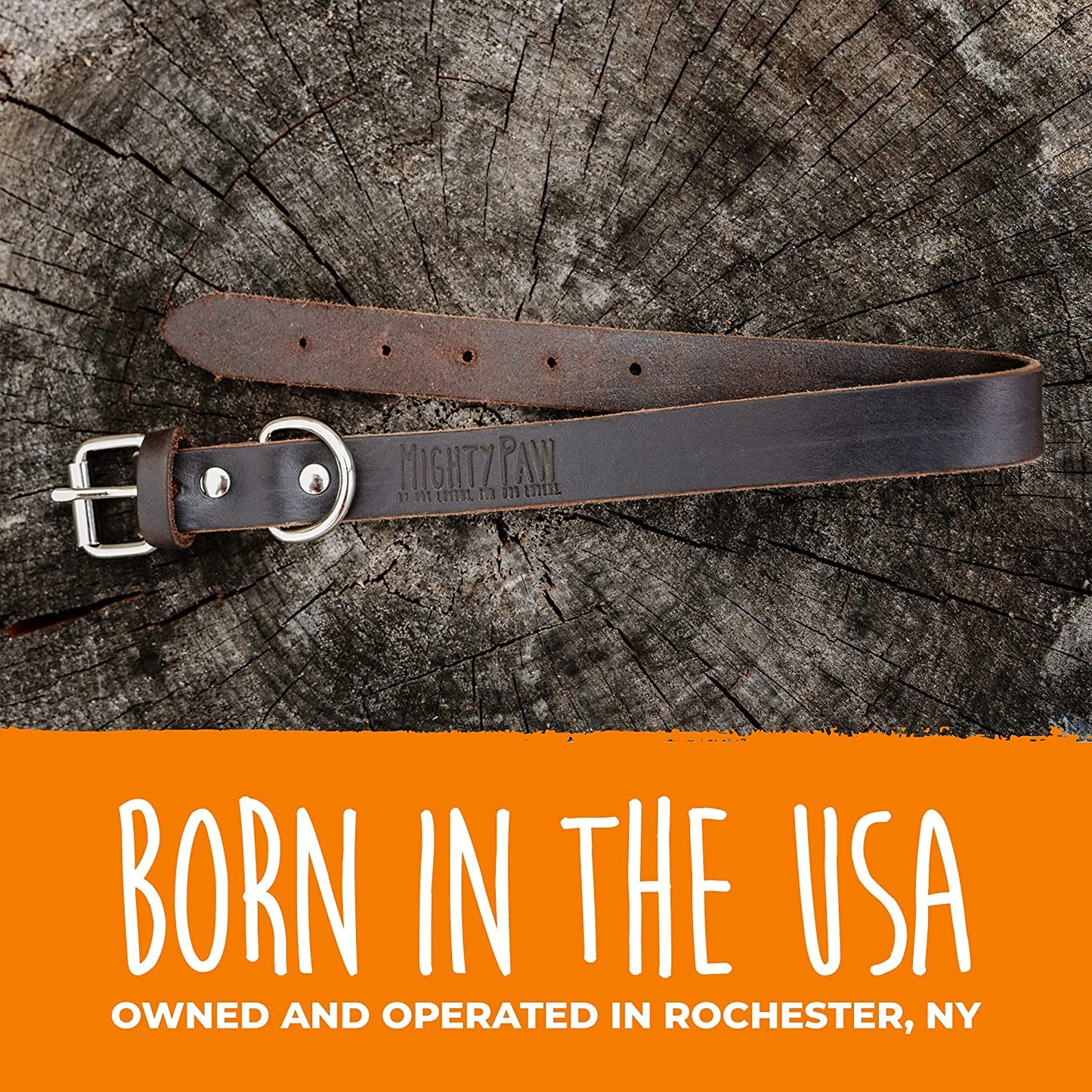 Genuine Leather Dog Collar with Metal Buckle – Medium (Brown)