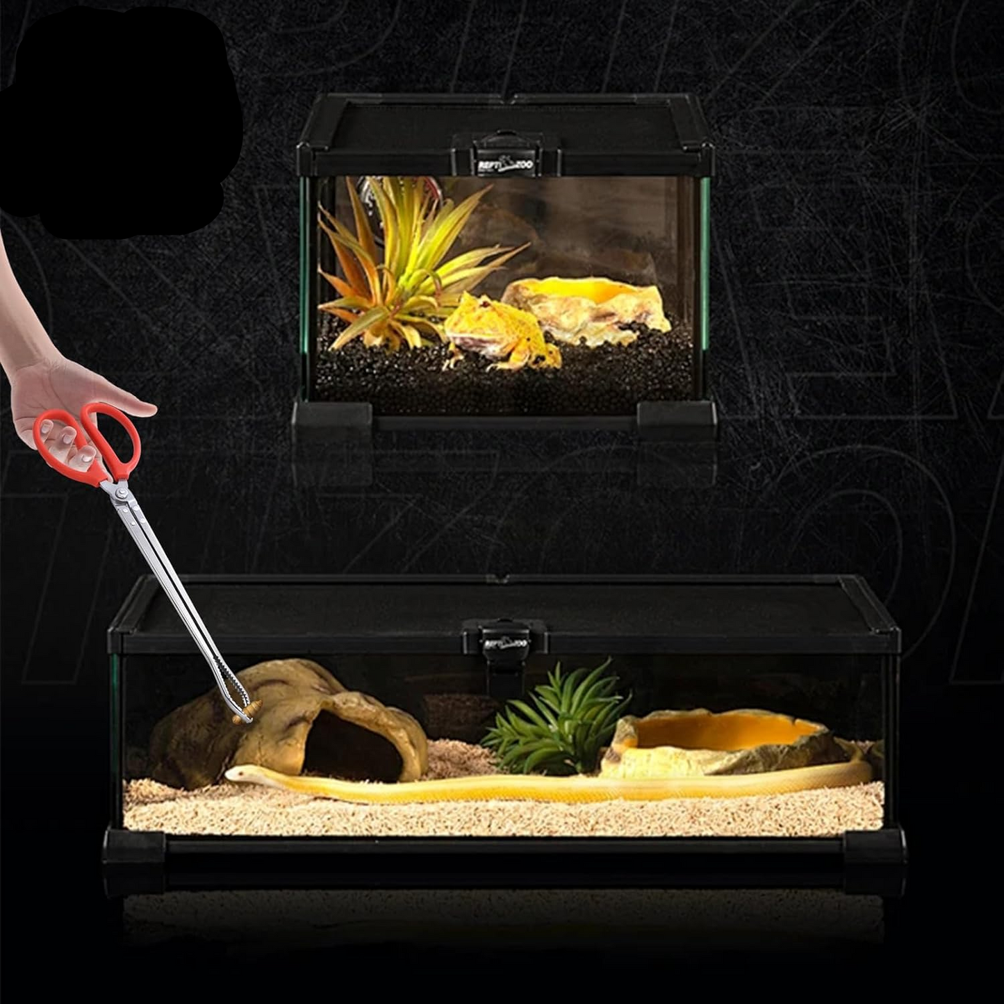 2-Pack Stainless Steel Snake Feeding Tongs 38 cm (15″) – Reptile Feeding Tool