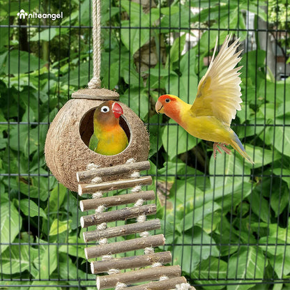 Natural Coconut Hideout with Ladder – Bird & Small Pet Toy
