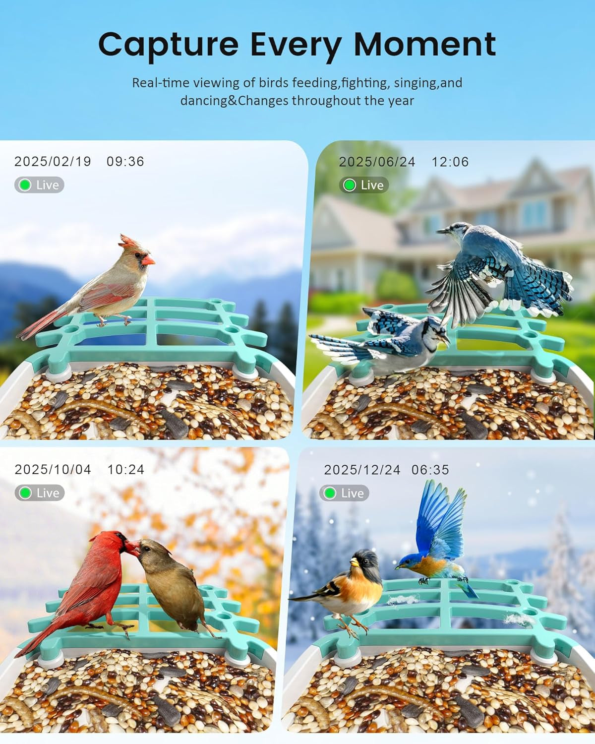 Smart Bird Feeder Camera with AI & Solar Power, 2K HD