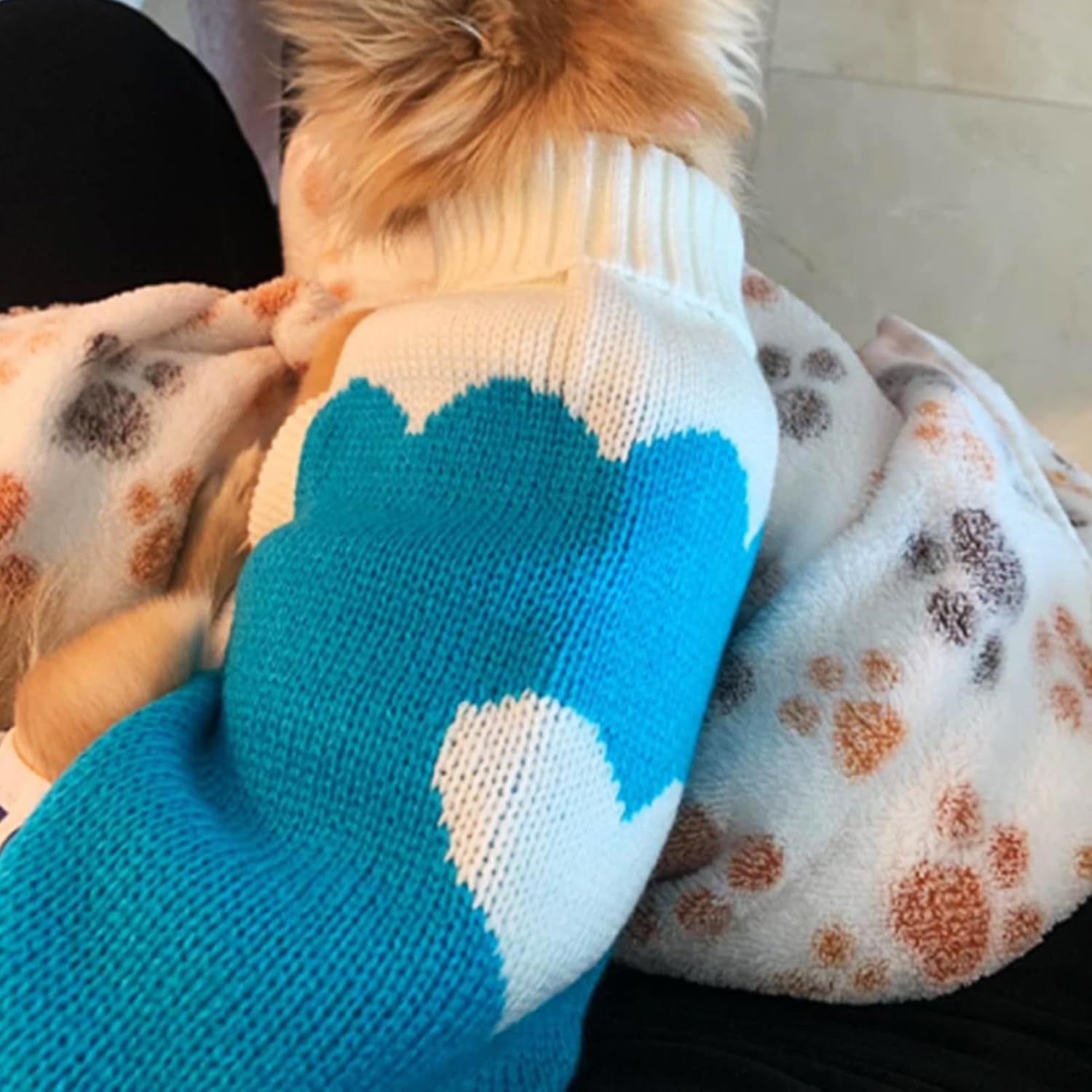 Dog Knit Sweater – Turtleneck Winter Pet Clothing (Sky Blue, M)