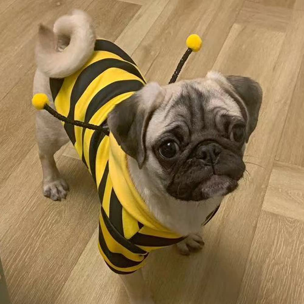 Pet Hoodie Sweater – Bee Costume for Dogs & Cats (Yellow, XL)