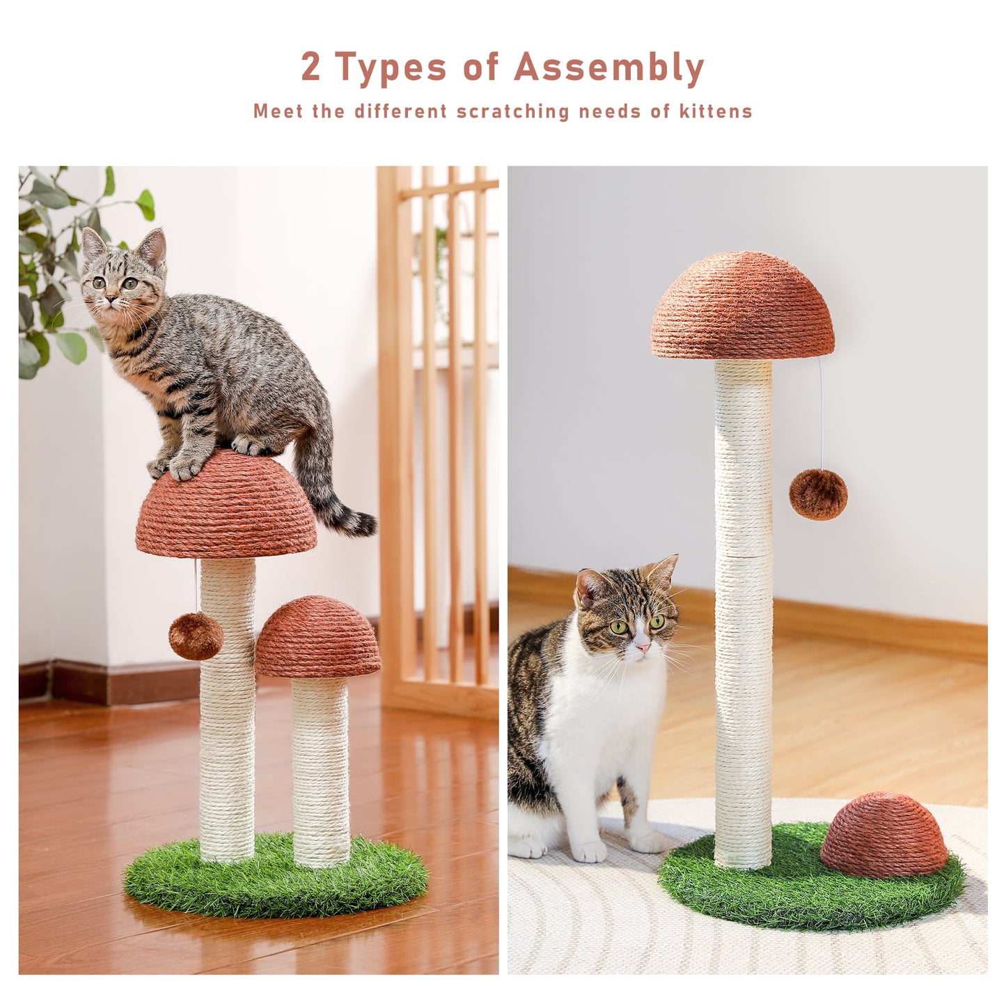 2 Mushrooms Cat Scratching Post 19″ (≈48 cm) – Sisal Claw Scratcher for Kittens & Small Cats, Brown