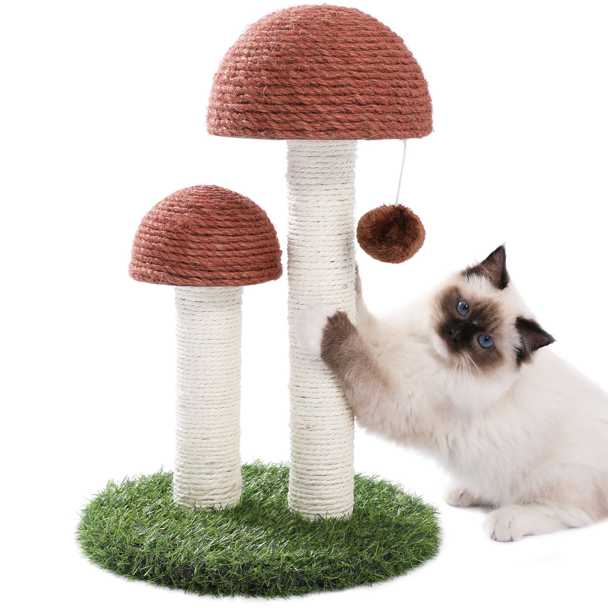 2 Mushrooms Cat Scratching Post 19″ (≈48 cm) – Sisal Claw Scratcher for Kittens & Small Cats, Brown
