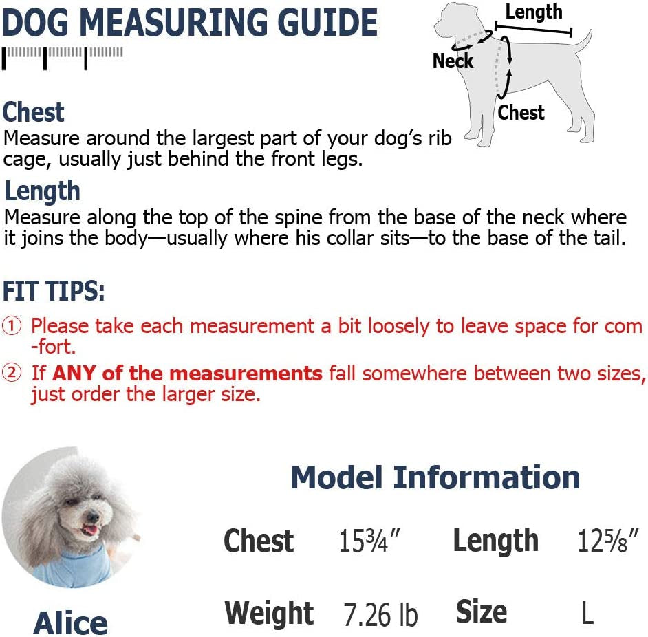 Dog Denim Outfit – Cute Overalls for Small & Medium Pets