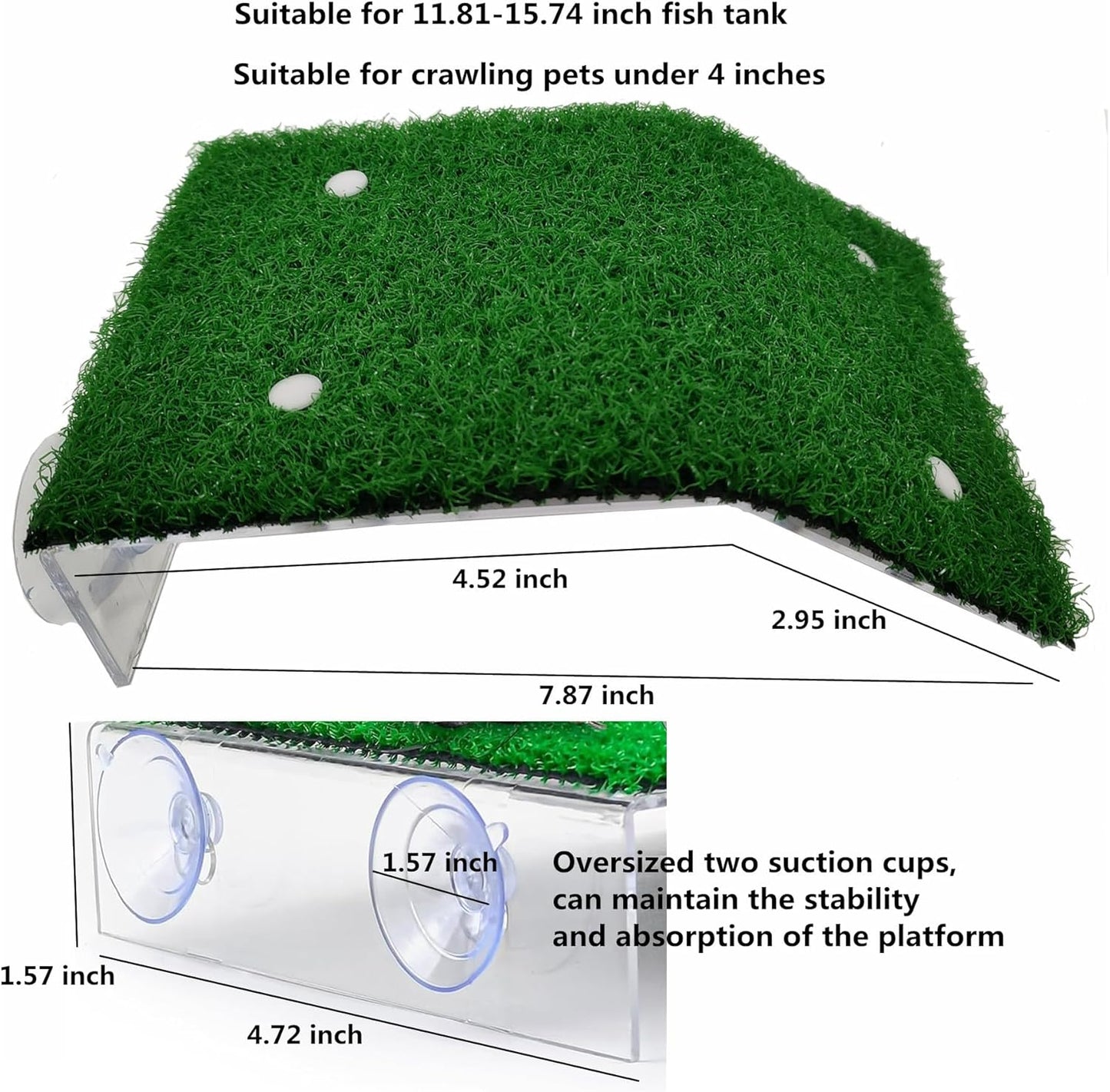 Turtle Basking Platform with Ramp – Floating Reptile Resting Dock for Turtles & Amphibians