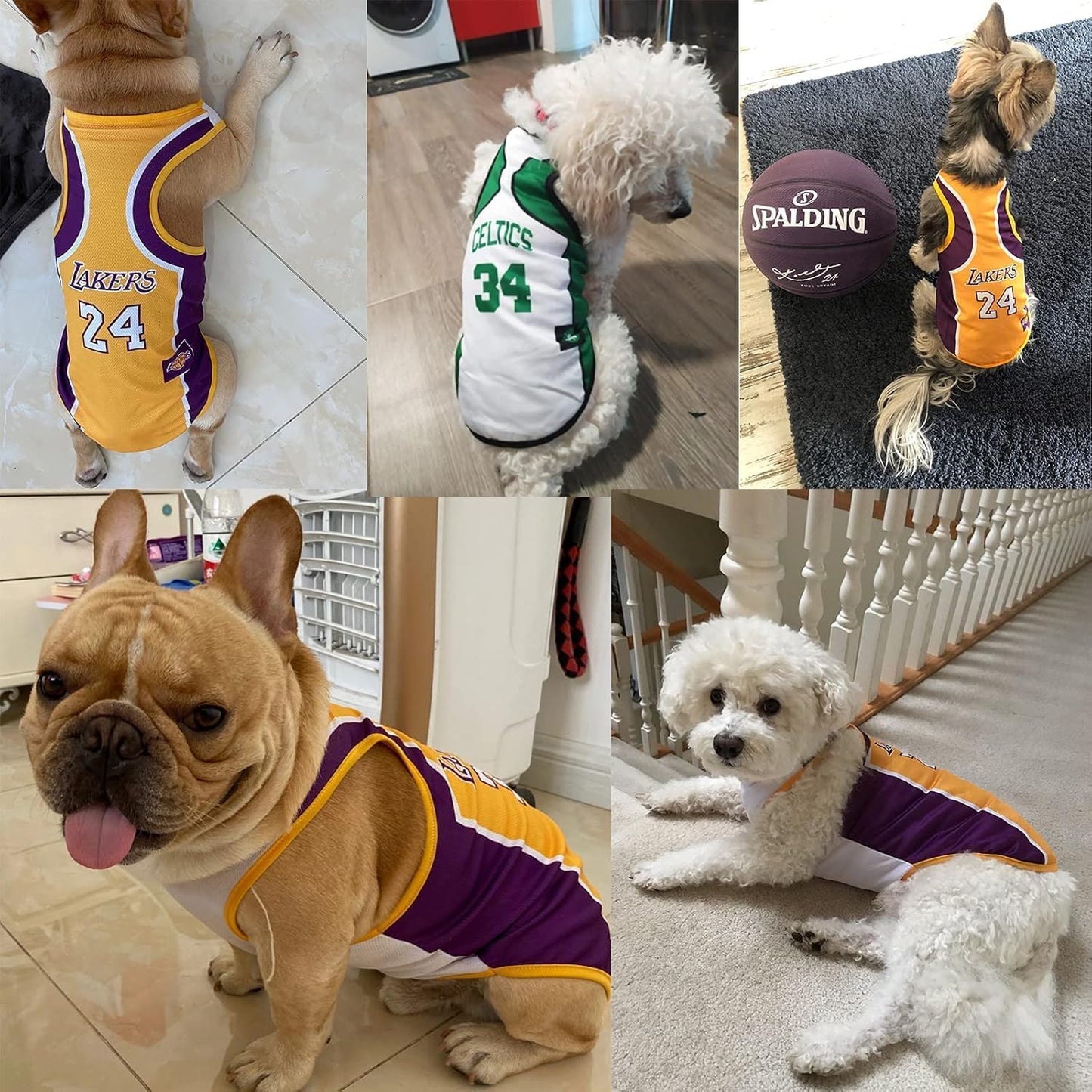 3-Pack Dog Basketball Jersey for Small & Medium Dogs (S)