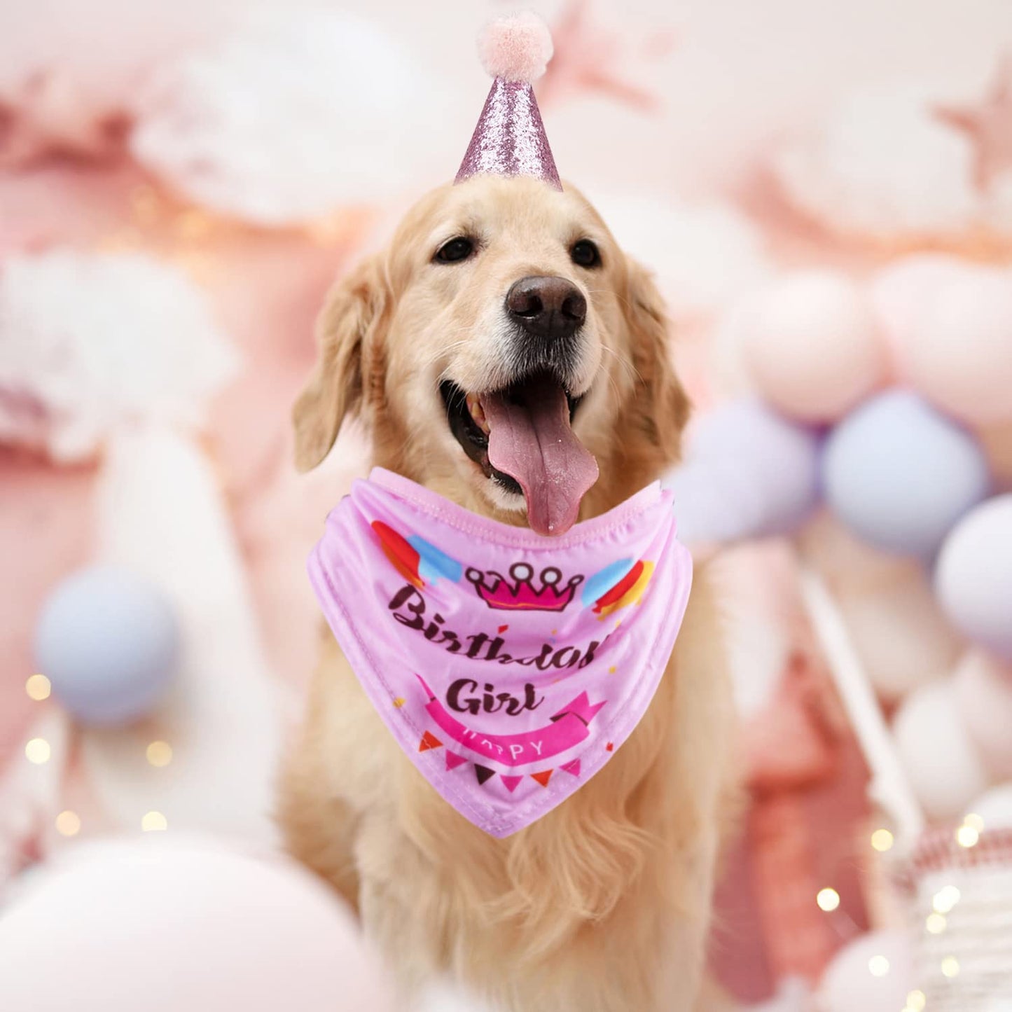 Dog Birthday Party Set – Bandana, Hat & Banner (Pink, Girl)