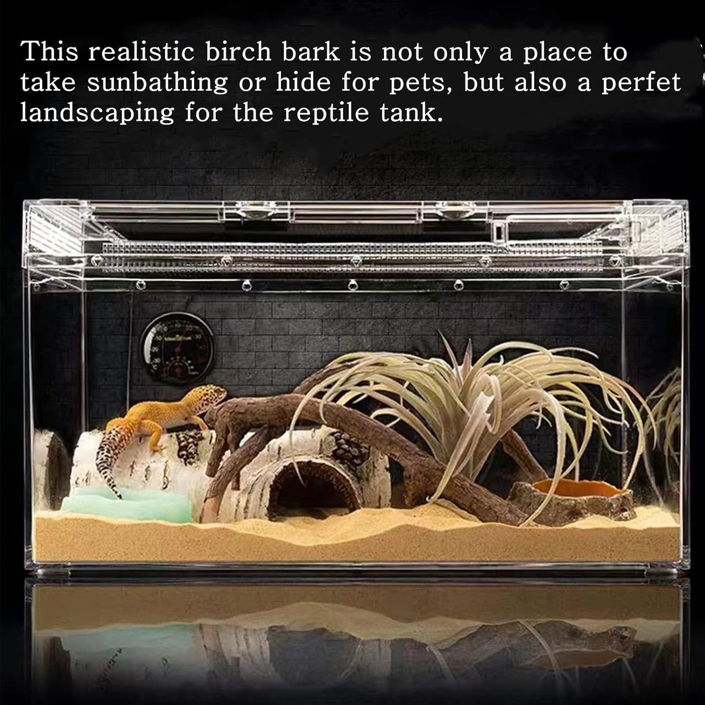 Reptile Hide & Cave – Natural Birch Bark Habitat Decor for Lizards, Geckos & Frogs (Small)