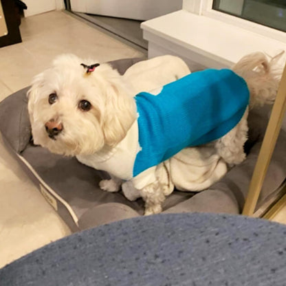 Dog Knit Sweater – Turtleneck Winter Pet Clothing (Sky Blue, M)