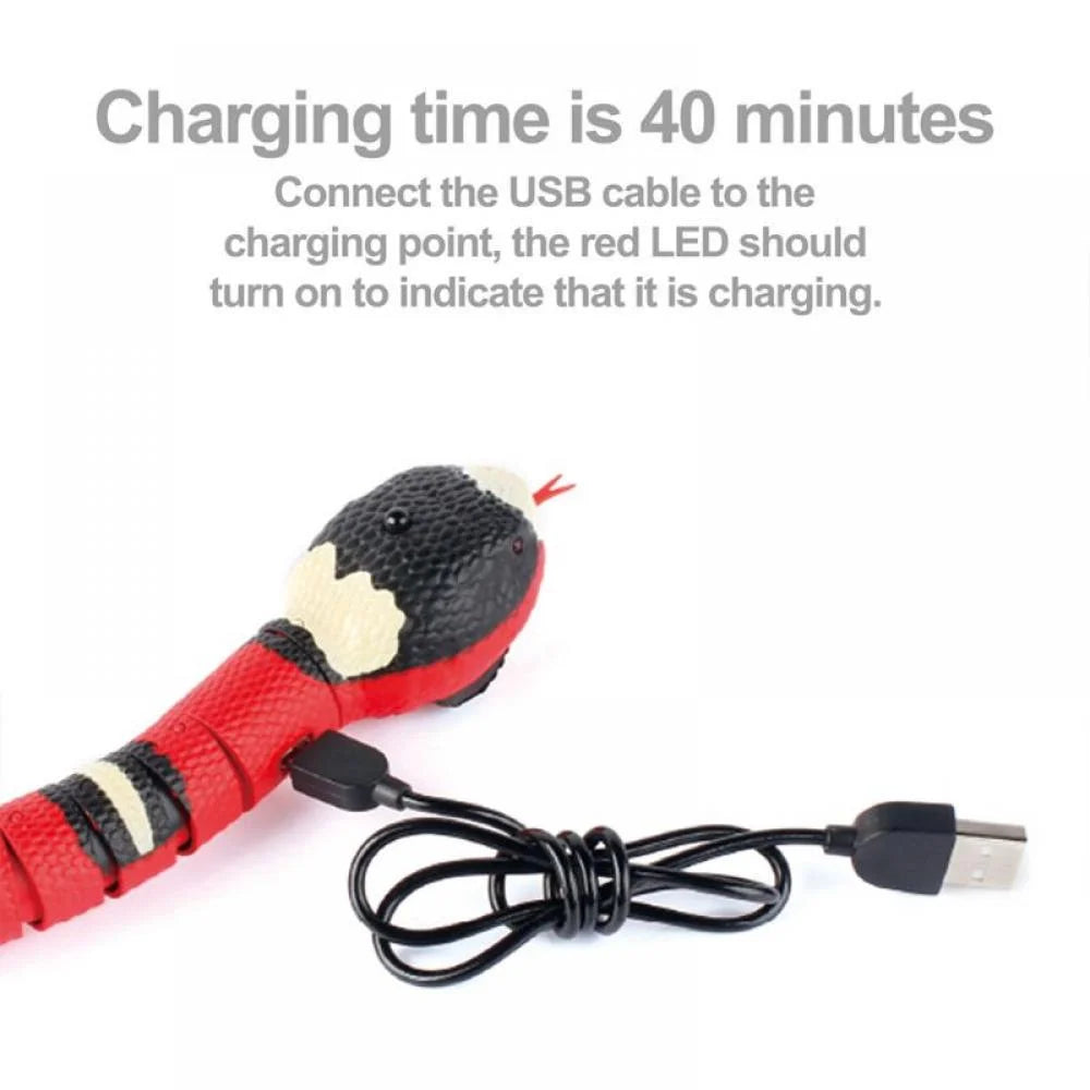 Electric Snake Cat Toy – USB Smart Sensing Simulator