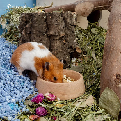 Wooden Hamster Feeding Bowl for Syrian & Dwarf Hamsters