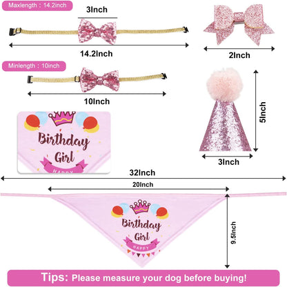 Dog Birthday Party Set – Bandana, Hat & Banner (Pink, Girl)