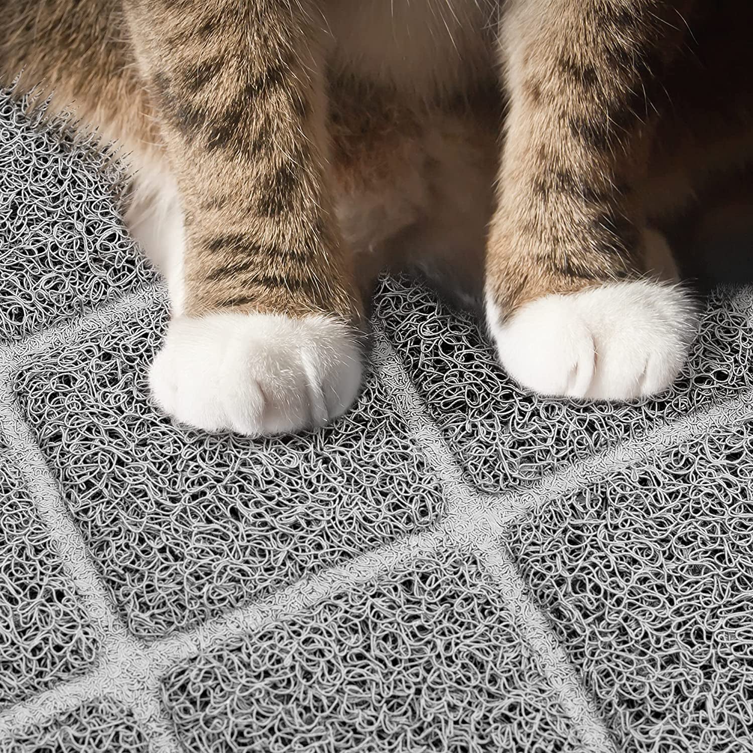 Cat Litter Trapping Mat with Waterproof Non-Slip Backing
