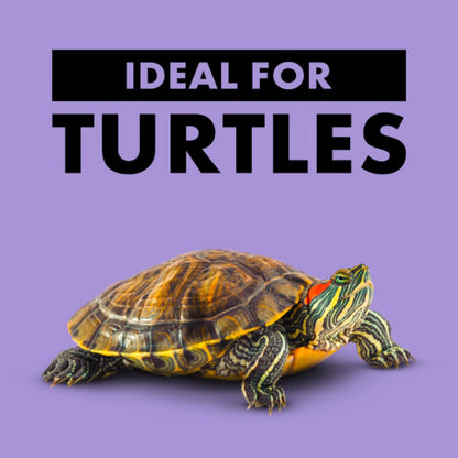 Reptile Basking Platform Corner Ramp – Small (Green)