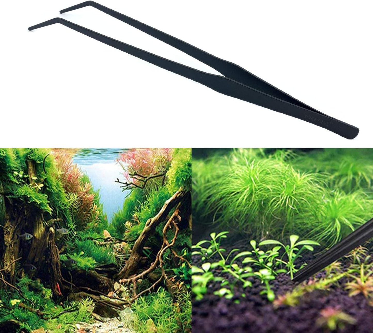 Stainless Steel Aquarium Tweezers –  15 inch (38 cm) Curved Feeding Tongs