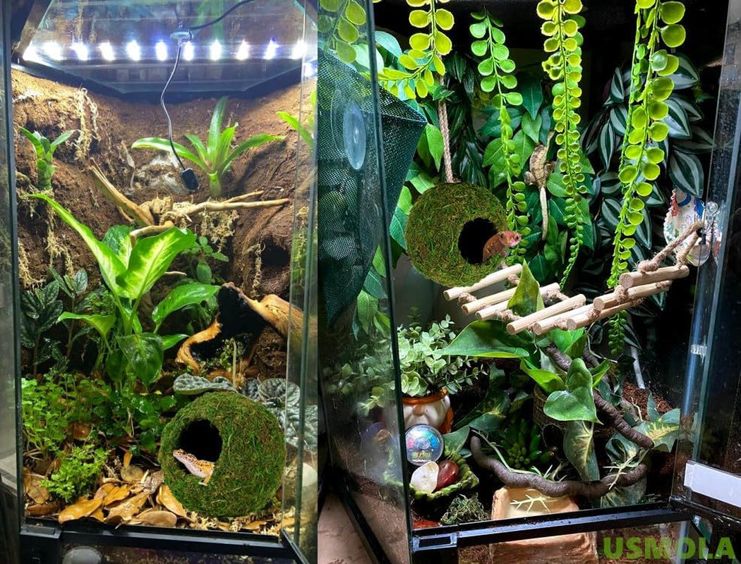 Reptile Moss Cave Hideout – Artificial Green Moss Shelter for Frogs & Snakes