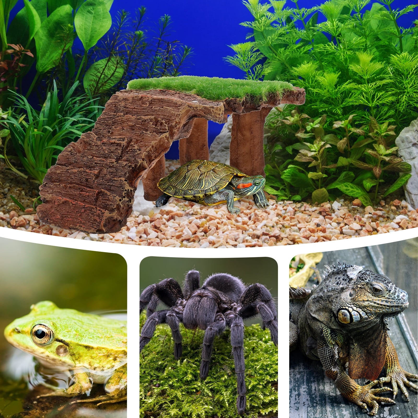 Reptile Basking Platform Turtle Terrace for Terrariums
