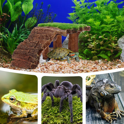 Reptile Basking Platform Turtle Terrace for Terrariums