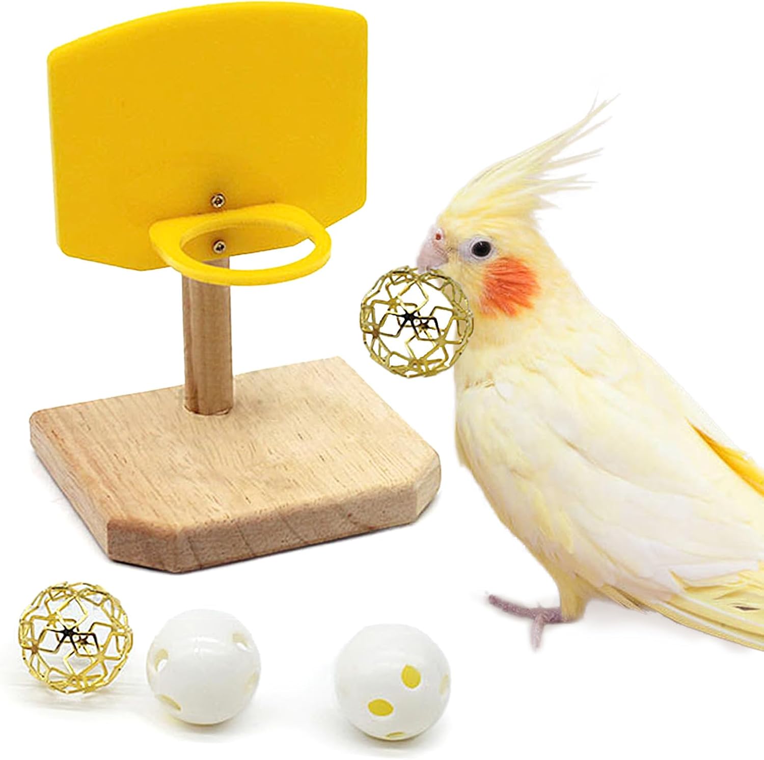 Bird Basketball Toy for Parrots | Training & Foraging Gym