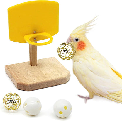 Bird Basketball Toy for Parrots | Training & Foraging Gym