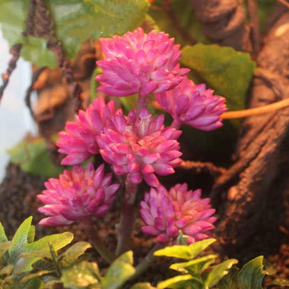 Artificial Reptile Terrarium Plant with Base – Purple