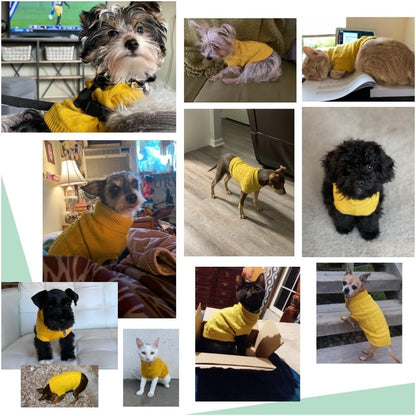 Knitted Dog Sweater for Small Dogs & Cats – Winter Warm Pet Sweatshirt (XS, Yellow)