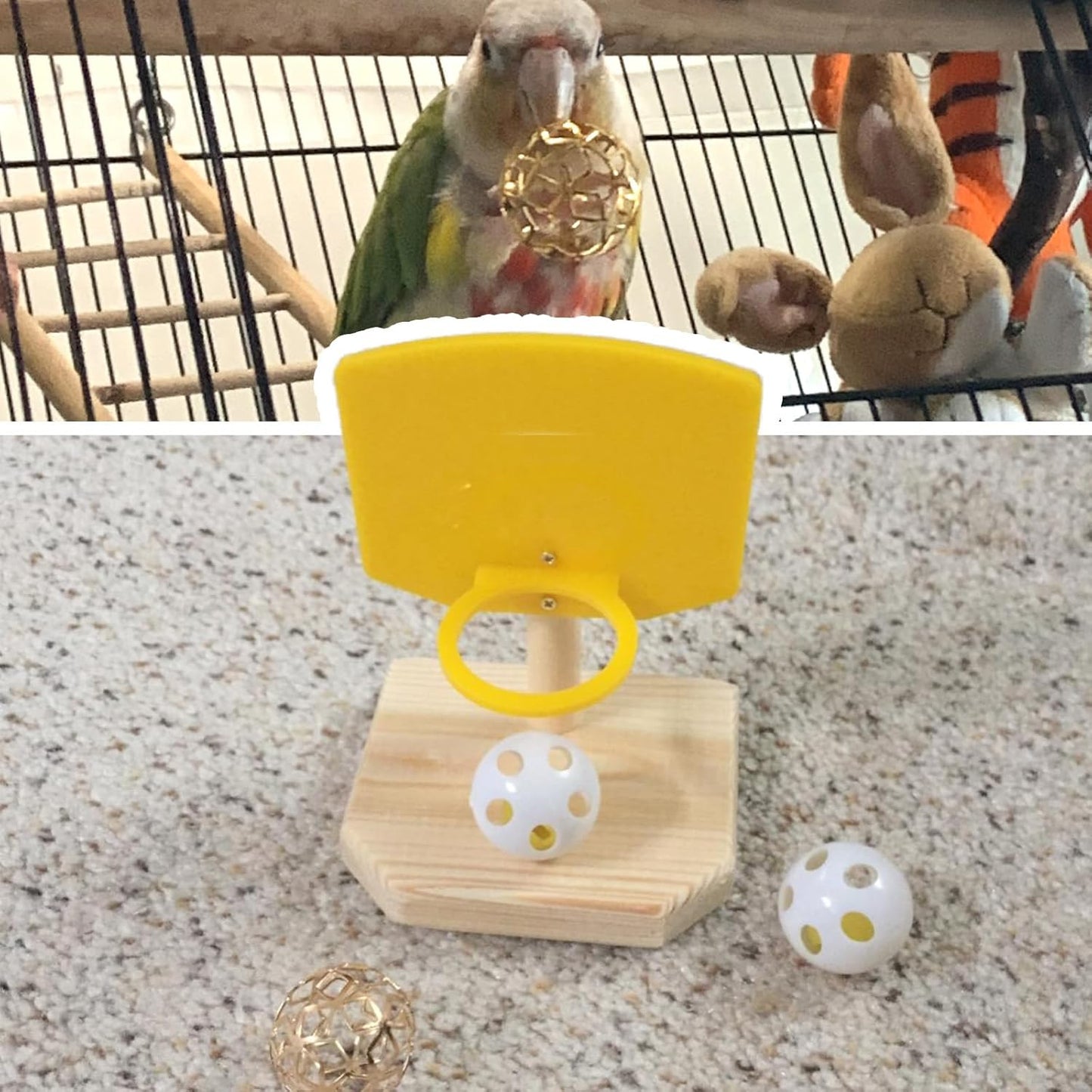 Bird Basketball Toy for Parrots | Training & Foraging Gym