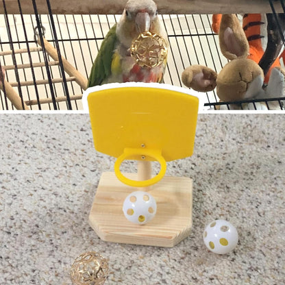 Bird Basketball Toy for Parrots | Training & Foraging Gym