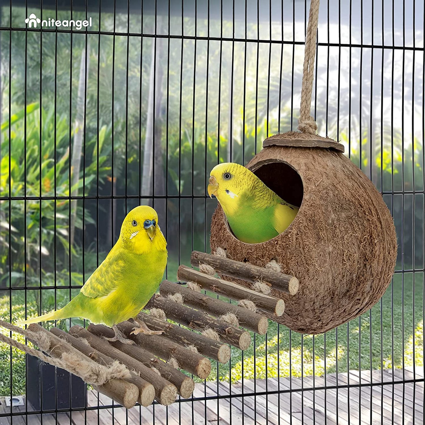 Natural Coconut Hideout with Ladder – Bird & Small Pet Toy