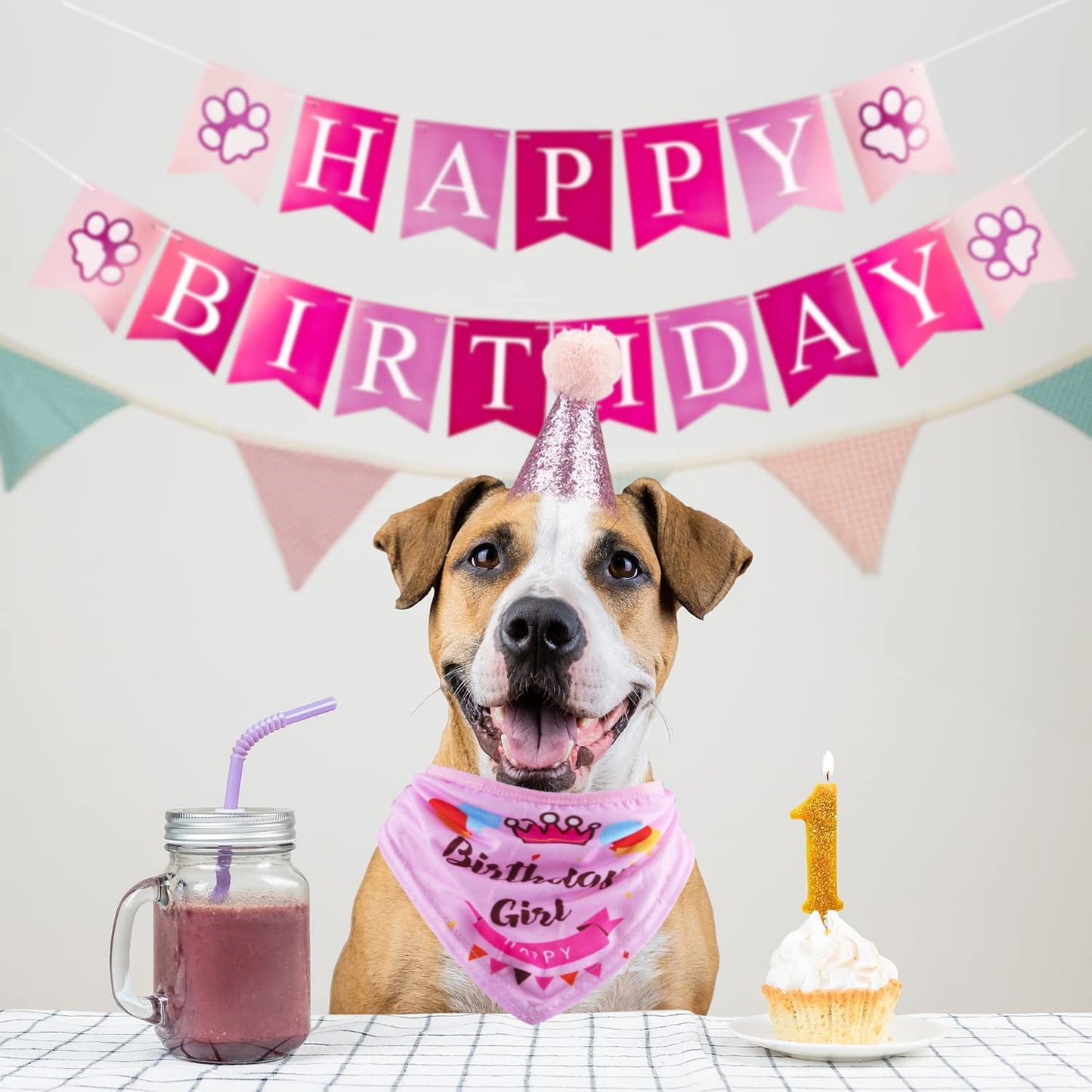 Dog Birthday Party Set – Bandana, Hat & Banner (Pink, Girl)
