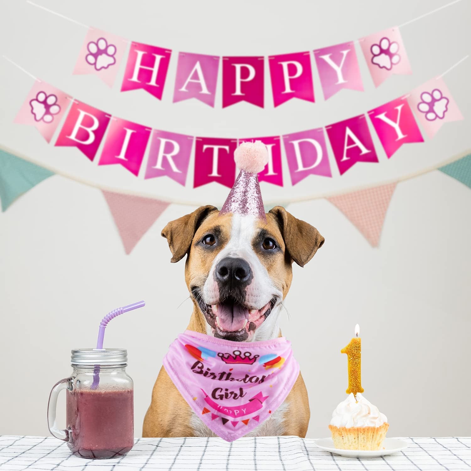 Dog Birthday Party Set – Bandana, Hat & Banner (Pink, Girl)