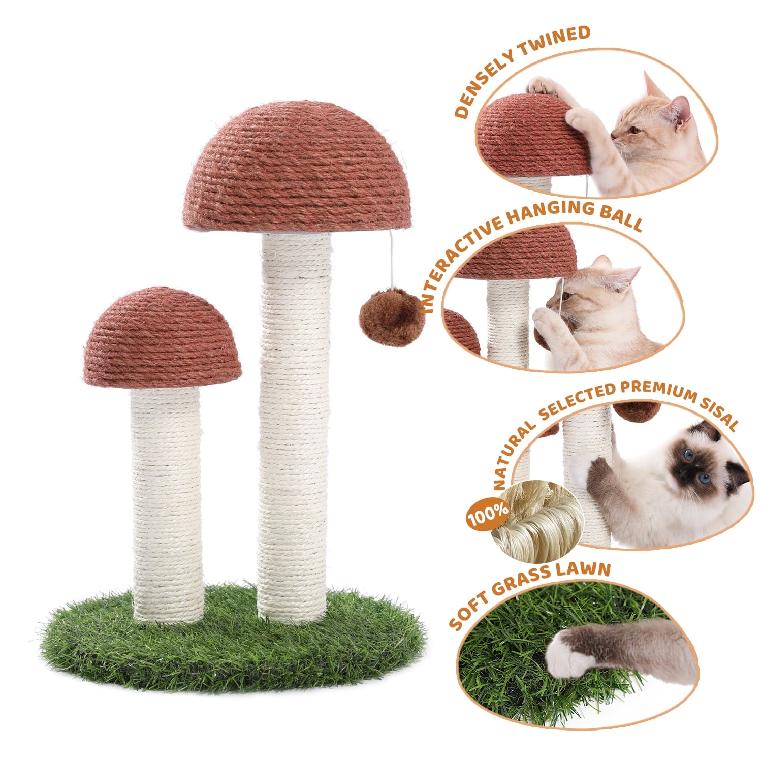 2 Mushrooms Cat Scratching Post 19″ (≈48 cm) – Sisal Claw Scratcher for Kittens & Small Cats, Brown