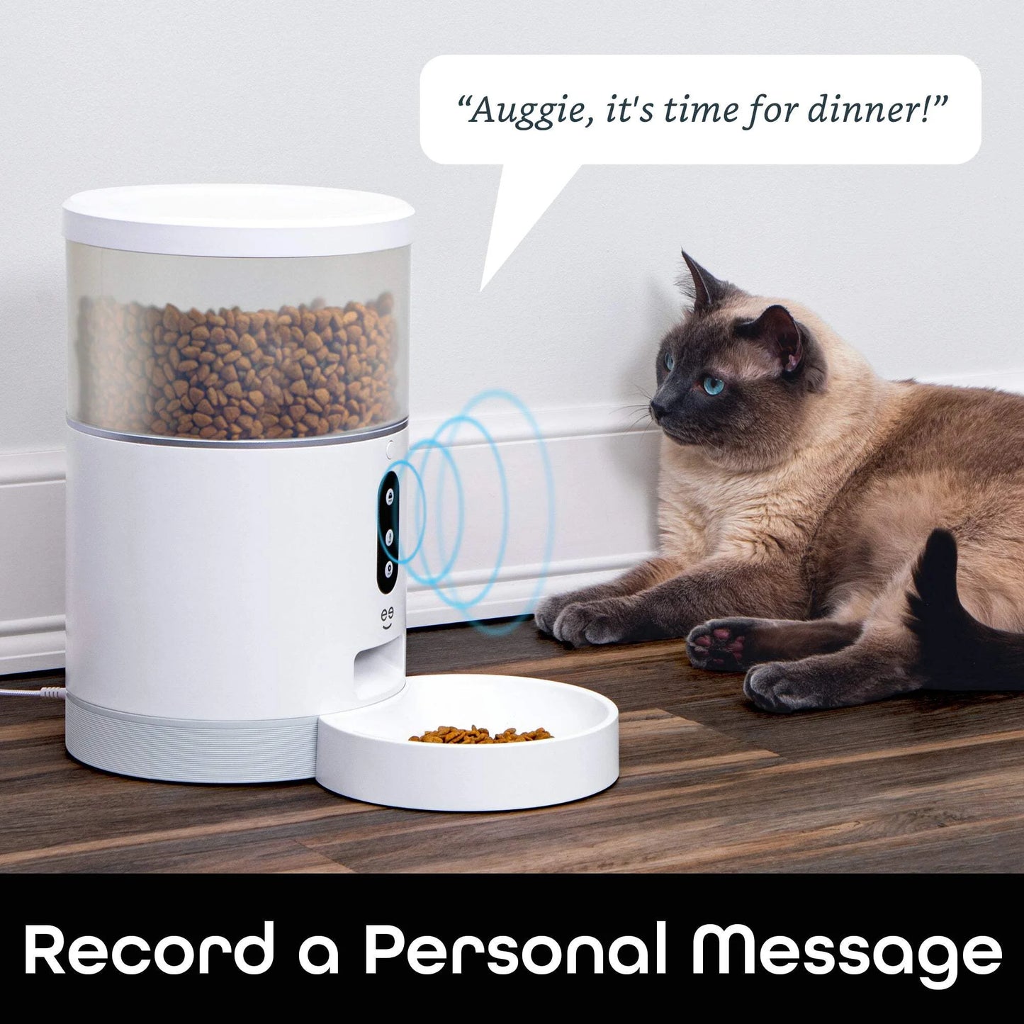 Petconnect Automatic Pet Feeder – 4L (4.0 L) for Dogs & Cats