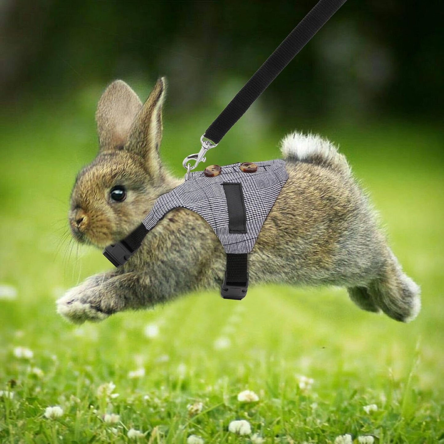 Adjustable Rabbit Harness & Leash Set – Formal Style for Small Pets (Size S)