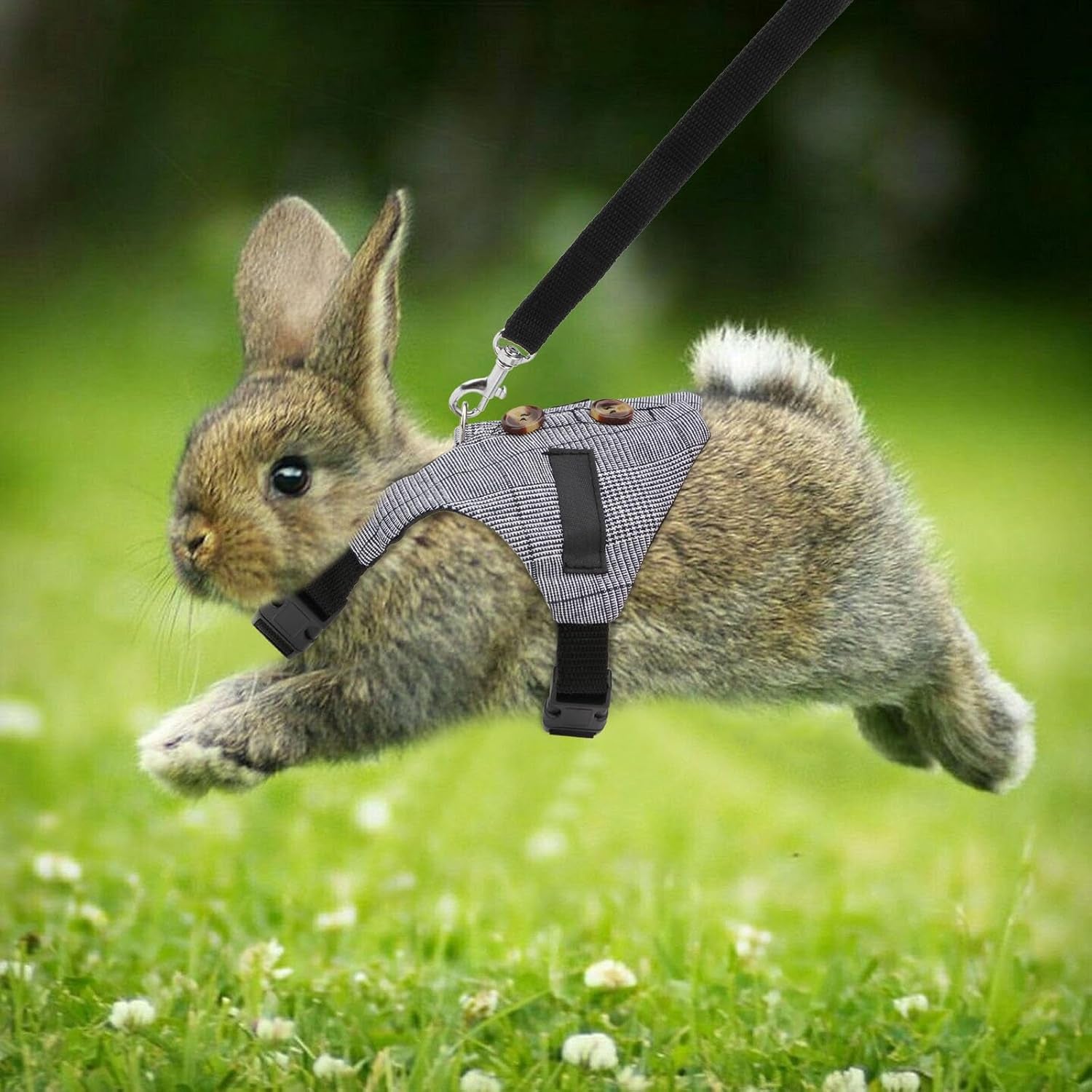 Adjustable Rabbit Harness & Leash Set – Formal Style for Small Pets (Size S)