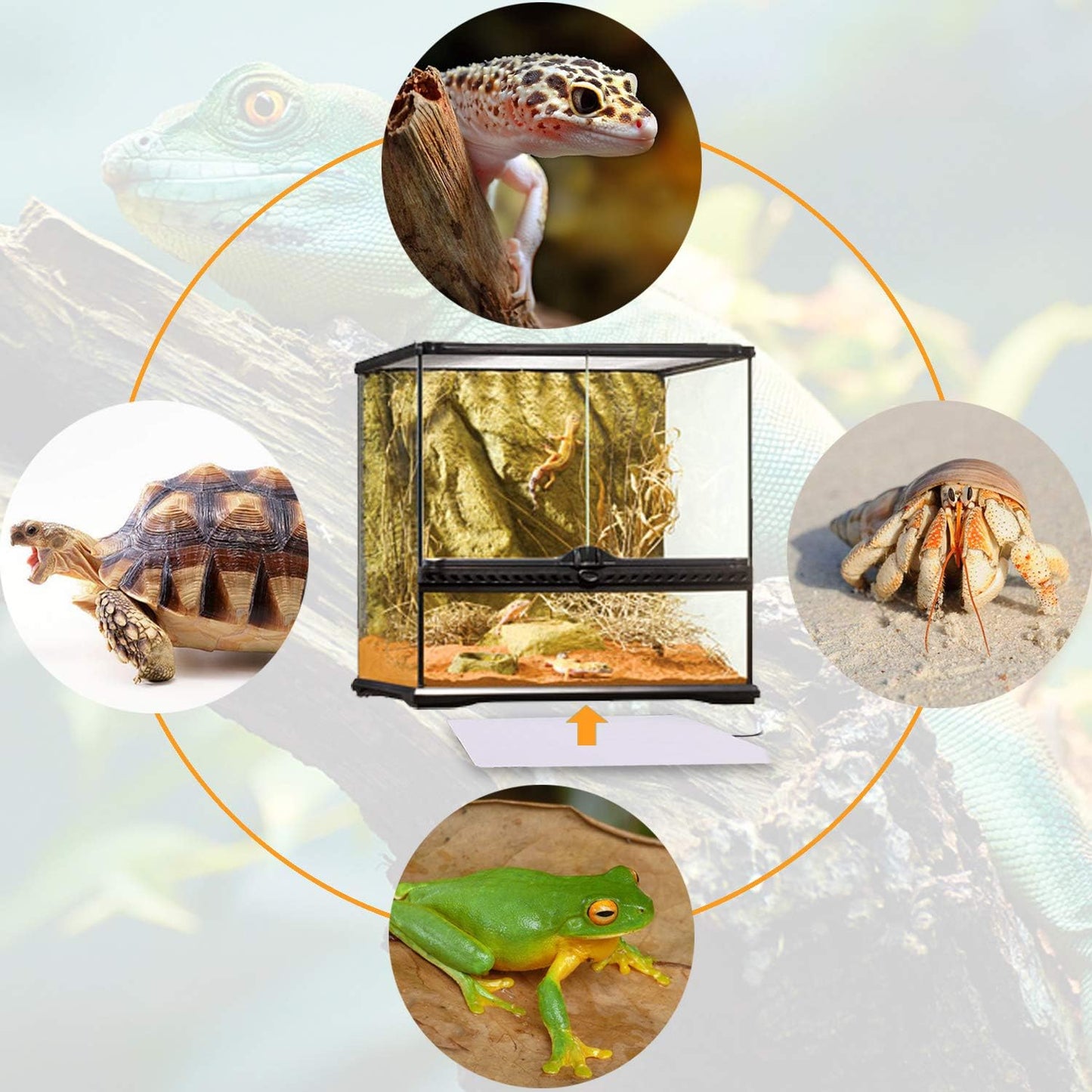 Reptile Heating Pad 6×8" (15×20 cm) – 8W Heat Mat, 2-Pack