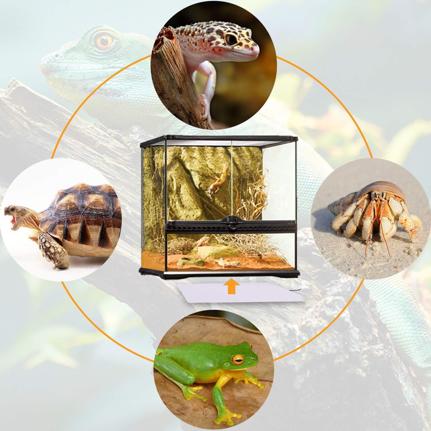 Reptile Heating Pad 6×8" (15×20 cm) – 8W Heat Mat, 2-Pack