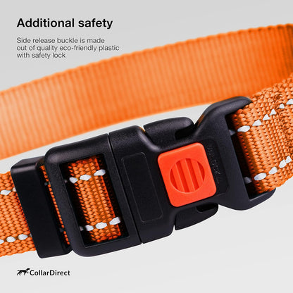 Reflective Nylon Dog Collar with Quick-Release (25–33 cm, Orange)