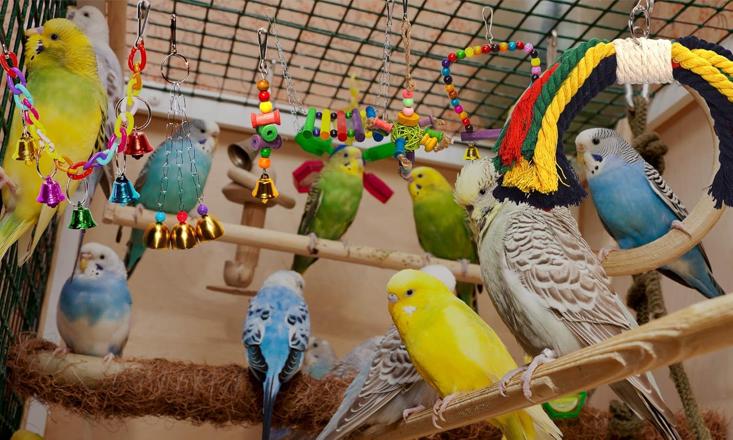 7-Piece Bird Toy Set for Small Parrots & Parakeets | Wood Swings & Perches