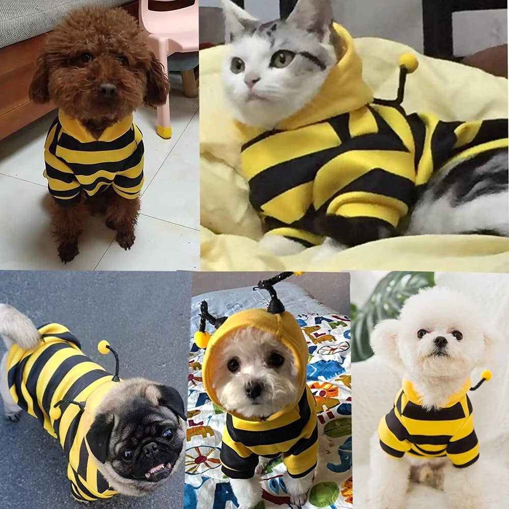 Pet Hoodie Sweater – Bee Costume for Dogs & Cats (Yellow, XL)