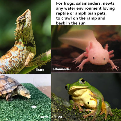 Turtle Basking Platform with Ramp – Floating Reptile Resting Dock for Turtles & Amphibians