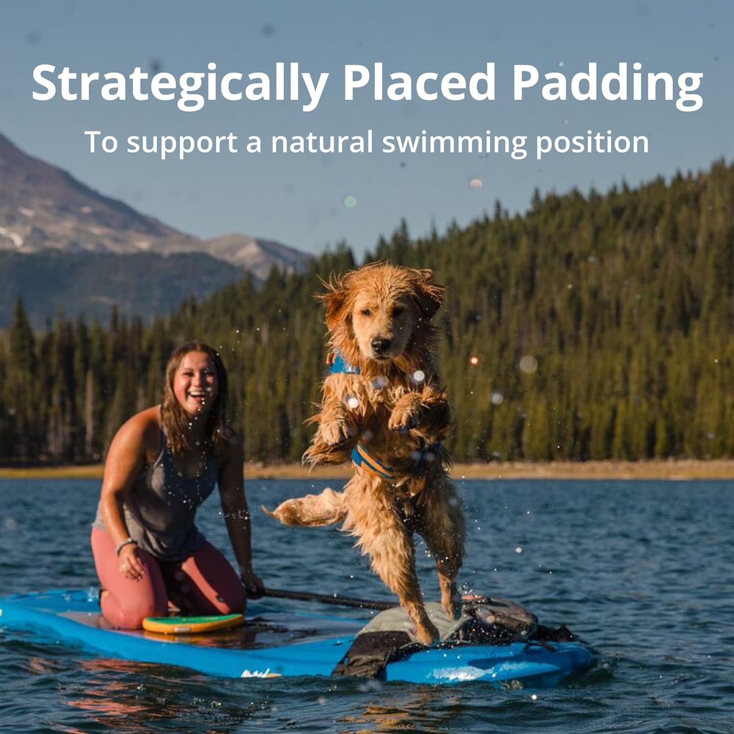 Dog Life Jacket Swim Vest – Adjustable Buoyancy with Handle & Reflective Trim (Blue Dusk, X-Small)