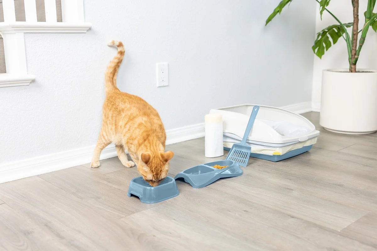 Van Ness Cat Starter Litter Box Kit