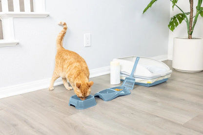 Van Ness Cat Starter Litter Box Kit