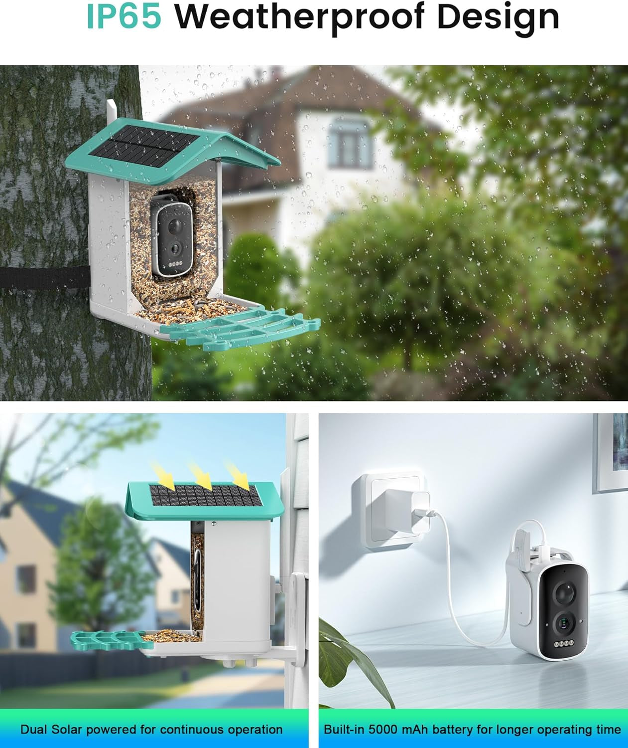 Smart Bird Feeder Camera with AI & Solar Power, 2K HD